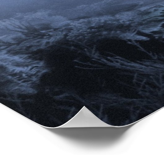 Morning Fog Poster (Hoek)