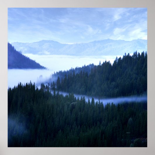 Morning Fog..... Poster (Voorkant)
