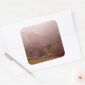 Morning Fog Vierkante Sticker (Envelop)