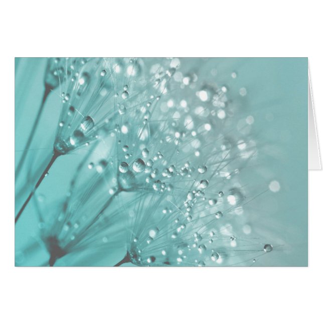 Morning Freshness (Voorkant Horizontaal)