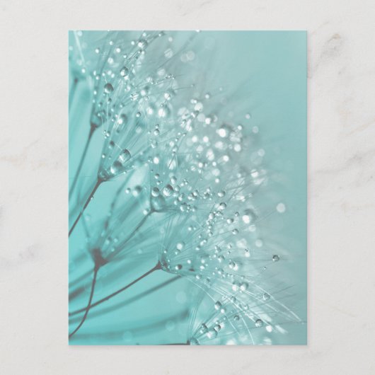 Morning Freshness Briefkaart (Voorkant)