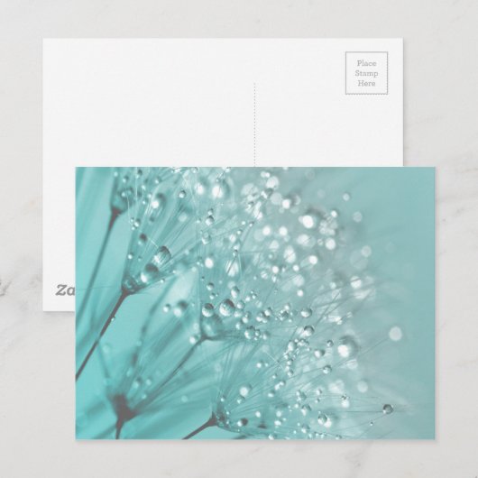 Morning Freshness Briefkaart (Voorkant / Achterkant)