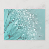 Morning Freshness Briefkaart (Voorkant)