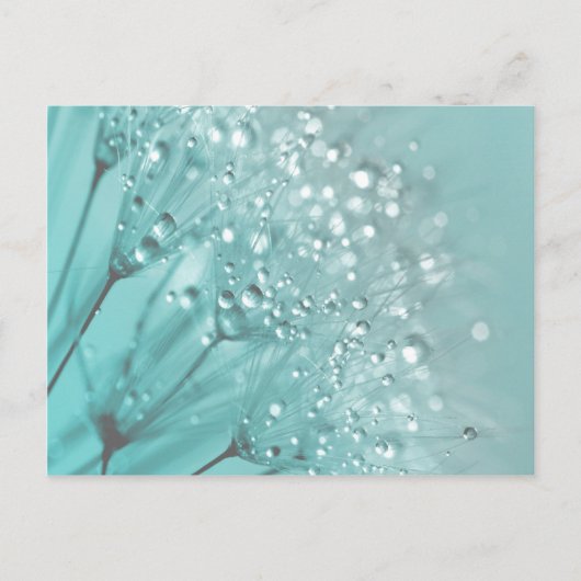 Morning Freshness Briefkaart (Voorkant)