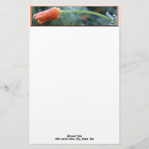 Morning Frost California Poppy Photo Custom Briefpapier