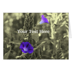 Morning Glories Black en White Flower Card