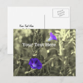 Morning Glories Bloem  Briefkaart (Voorkant / Achterkant)