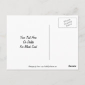 Morning Glories Bloem  Briefkaart (Achterkant)