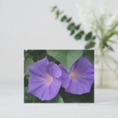 Morning Glories Briefkaart (Staand voorkant)