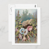 Morning Glories Briefkaart (Voorkant / Achterkant)