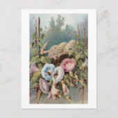 Morning Glories Briefkaart (Voorkant)