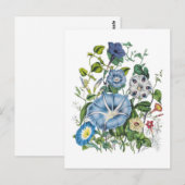 Morning Glories Briefkaart (Voorkant / Achterkant)