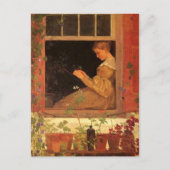 Morning Glories - Briefkaart (Voorkant)