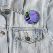 Morning Glories Button (In situ)