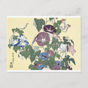 Morning Glories en Grog Briefkaart