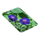 Morning Glories Flexi Magnet Magneet (Rechterzijde)