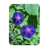 Morning Glories Flexi Magnet Magneet (Verticaal)