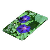 Morning Glories Flexi Magnet Magneet (Linkerzijde)