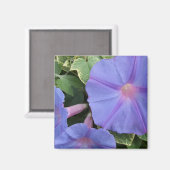 Morning Glories Magnet (Voorkant / Achterkant)