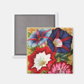 Morning Glories Magnet (Voorkant / Achterkant)
