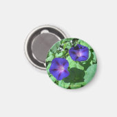 Morning Glories Magnet (Voorkant / Achterkant)