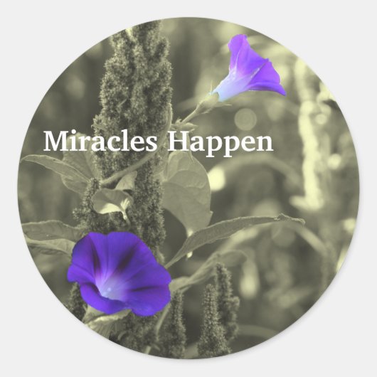 Morning Glories Miracles gebeuren sticker (Voorkant)