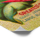 Morning Glories Print (Hoek)