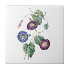Morning Glories Redoute keramische tegel Tegeltje