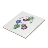 Morning Glories Redoute keramische tegel Tegeltje (Zijkant)