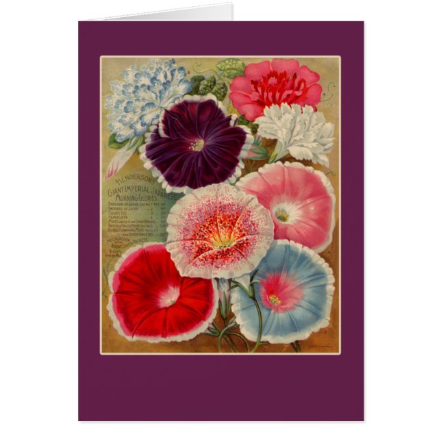 Morning Glories Seed Packet Art-kaarten (Voorkant)