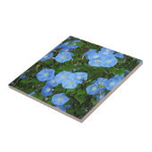 Morning Glories Tegeltje (Zijkant)