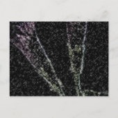 Morning Glory_1f Briefkaart (Voorkant)