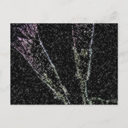 Morning Glory_1f Briefkaart (Voorkant)