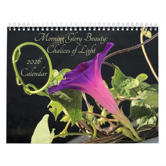 Morning Glory Beauty:  Chalices of Light 2026 Kalender (Hoes)