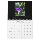 Morning Glory Beauty:  Chalices of Light 2026 Kalender (Mar 2027)