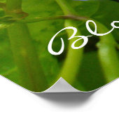 Morning Glory Bloom waar u Poster plant (Hoek)