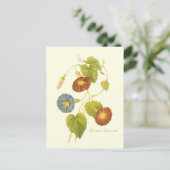 Morning Glory Blue Illustration Briefkaart (Staand voorkant)