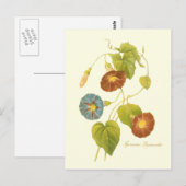 Morning Glory Blue Illustration Briefkaart (Voorkant / Achterkant)