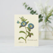 Morning Glory Blue Illustration Briefkaart (Staand voorkant)