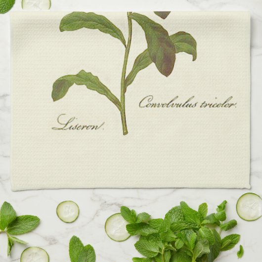 Morning Glory Blue Illustration Theedoek (Gevouwen)