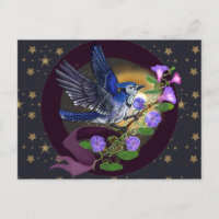 Morning Glory BlueJay
