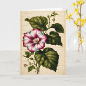Morning Glory Botanische Illustratie Verjaardag Kaart (Gele Bloem)