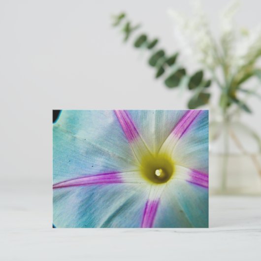 morning glory briefkaart (Staand voorkant)