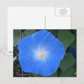 Morning Glory Briefkaart (Voorkant / Achterkant)