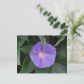 morning glory briefkaart (Staand voorkant)