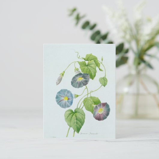 Morning Glory Briefkaart (Staand voorkant)