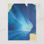 Morning Glory Briefkaart (Voorkant)