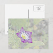 morning glory briefkaart (Voorkant / Achterkant)