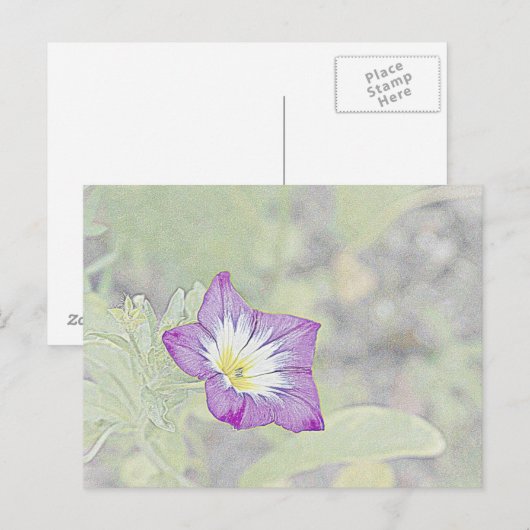 morning glory briefkaart (Voorkant / Achterkant)