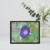 morning glory briefkaart (Staand voorkant)
